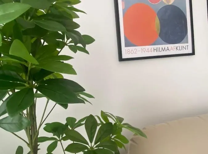 Bonitos Atardeceres Sobre Cristianos * Chayofa