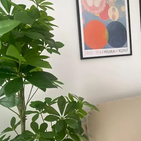 Bonitos Atardeceres Sobre Cristianos * Chayofa