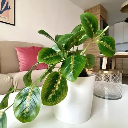 Bonitos Atardeceres Sobre Cristianos *