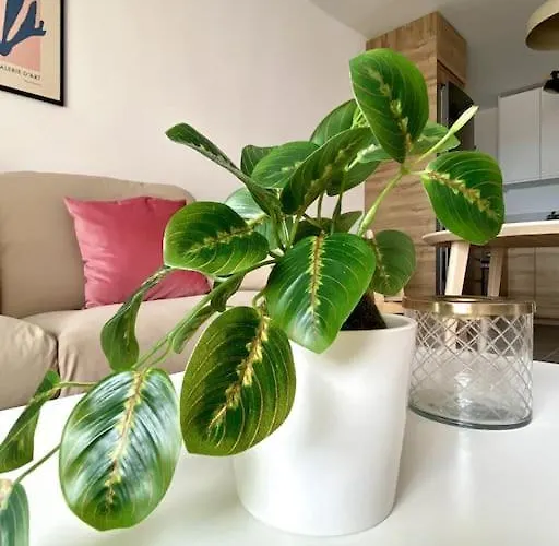 Bonitos Atardeceres Sobre Cristianos *